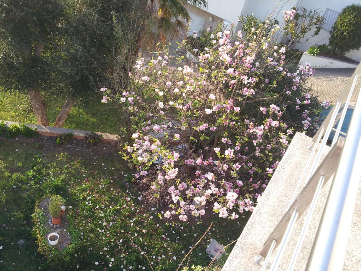 Bed and Breakfast Com O Douro A Vista Jovim Zewnętrze zdjęcie